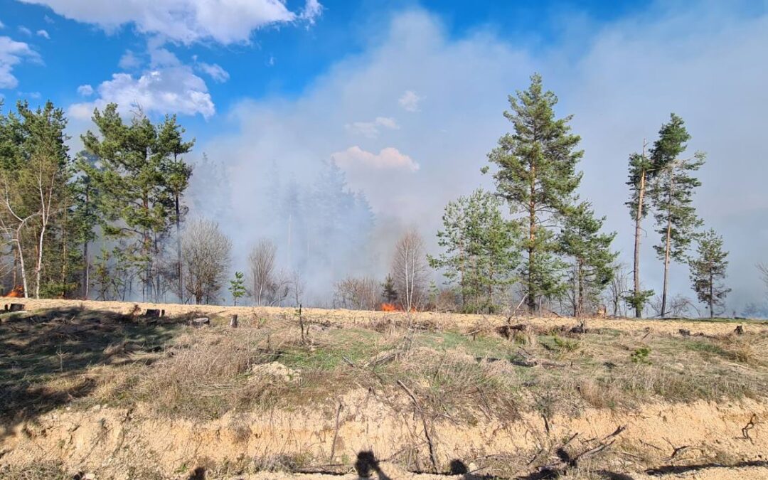 Покана за участие в дейностите по проект  „Зеленото богатство на Европа“